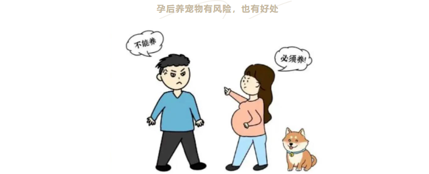 怀孕后还能养宠物吗？这些影响与应对方法必看