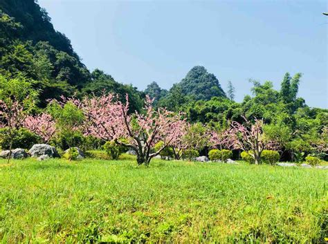 多囊卵巢综合征该怎样才能怀孕