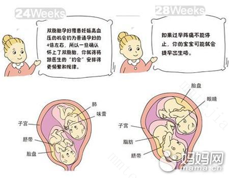 怀孕准备工作生双胞胎