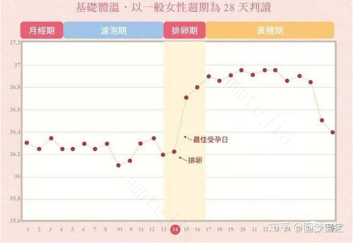 排卵期计算方法和症状