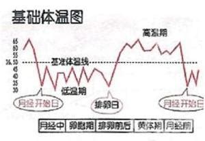 排卵期计算方法和技巧