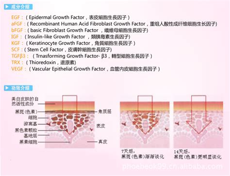 优雅的姿势有哪些