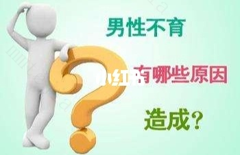 导致男性不育的原因有哪些?