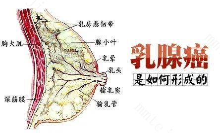 女朋友乳头痒怎么回事? 乳房保健注意事项