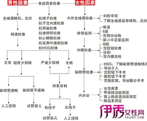 男性不育的重要检查项目