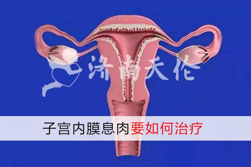 子宫内膜息肉能喝酒吗 酒精真的这么可怕吗？