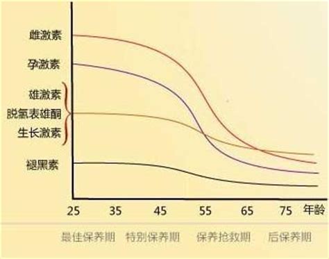卵巢保养是什么意思啊