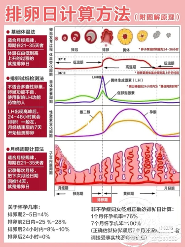 备孕得学会检测排卵，这六大方法拿走不谢~