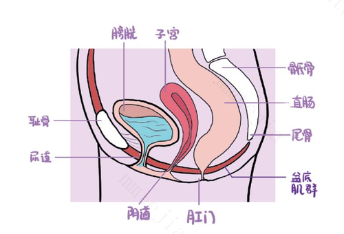 性生活过后阴部发痒？除了阴道炎症，还有这几种可能！