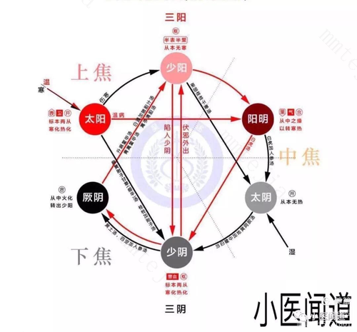 宫寒又上火，究竟是什么体质？