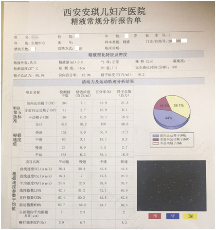 老公精子不好，经过这么一系列的努力，居然怀上了双胞胎