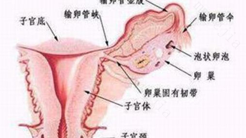 黄体破裂后多久来月经 黄体破裂后这点不要忽略