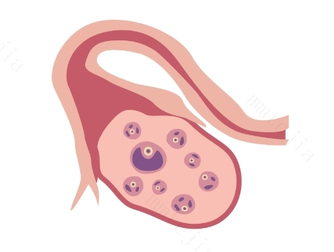 当备孕遇上卵泡发育不良，这些你都了解吗？