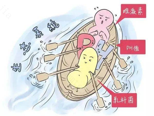 预防霉菌性阴道炎守好4道关