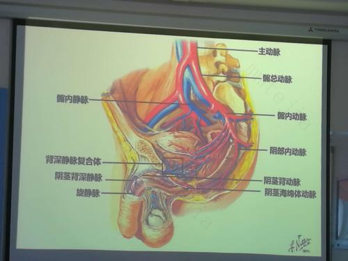 导致男性阳痿的原因是什么？多检查一下你家药箱