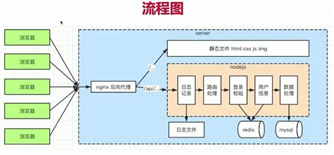 到底什么因素决定生男生女