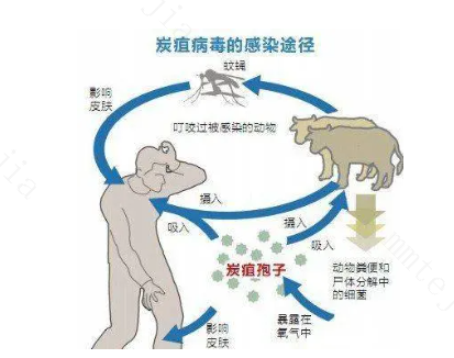 怎样的接触会传染性病