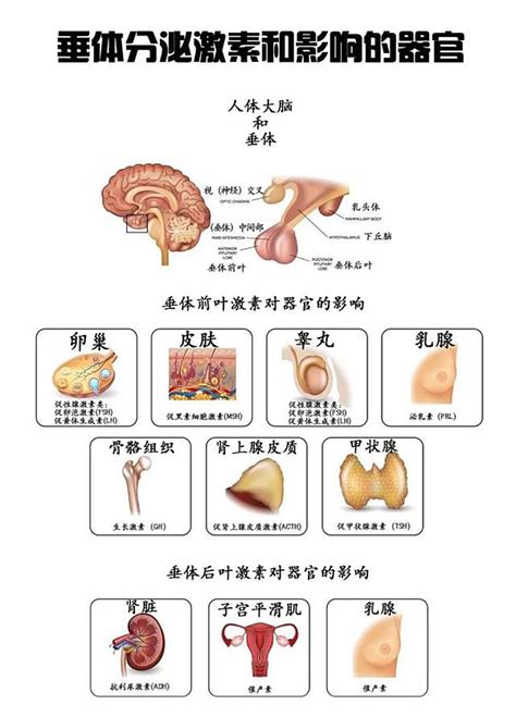 不孕症常见的原因有哪些