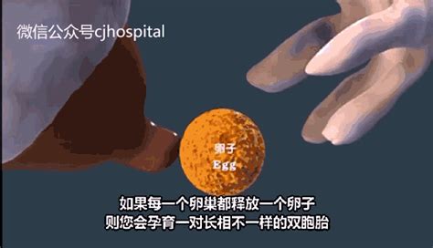 输卵管备孕有检查的必要吗