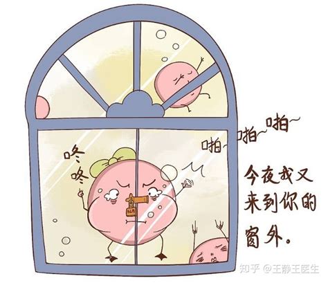 吃什么能促进卵泡发育成熟