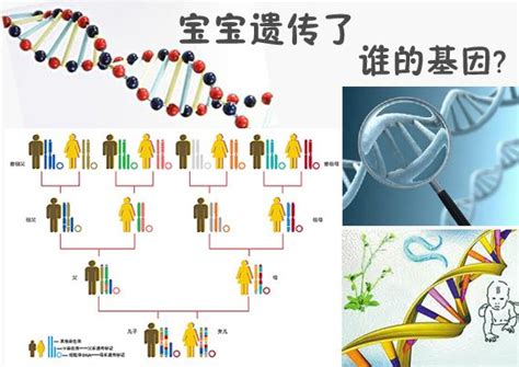 孩子的智商遗传母亲吗