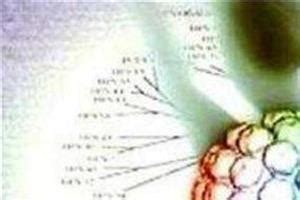 怀孕后发现宫颈癌前病变怎么办
