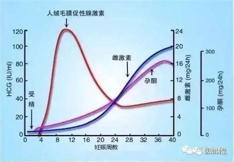 怀孕后发现宫颈癌前病变怎么办
