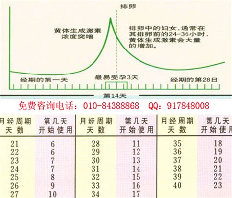 怀孕排卵期怎么计算