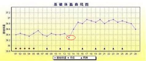 怀孕排卵期怎么计算