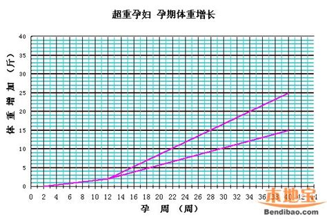 备孕期不光注重健康和体重，AA姿势也很重要 备孕期间如何更容易怀上