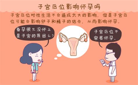 怎么备孕不伤子宫 怎么养好子宫备孕